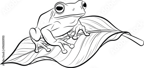 A frog sitting on a large leaf with its legs dangling downward calmly