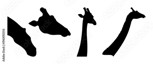 Giraffe neck profile silhouette set with single line black outline featuring giraffe, animal silhouette, wildlife with minimalist and vector