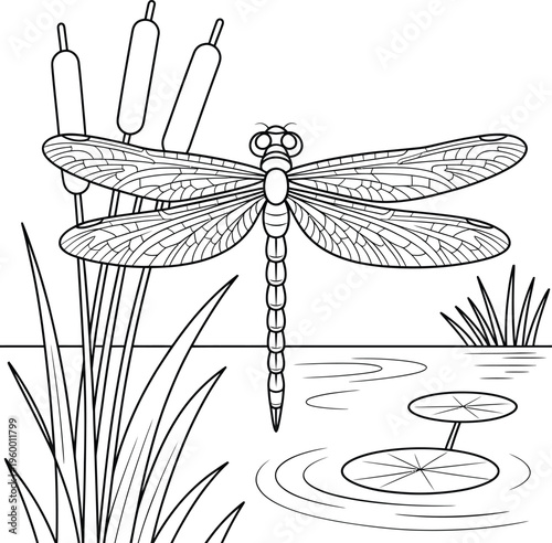Dragonfly resting on a pond with cattails