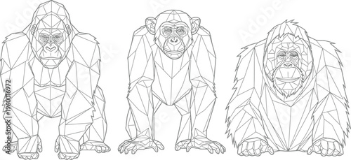 Collection of three great ape species featuring gorilla chimpanzee and orangutan rendered in unique geometric low poly outline style