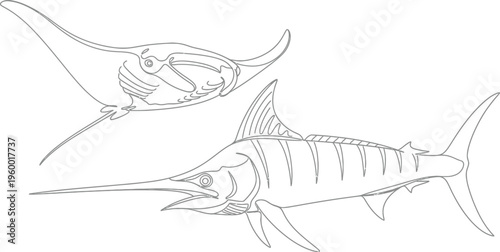 Detailed black and white outline drawing featuring a majestic marlin swimming gracefully near a large manta ray in open water.
