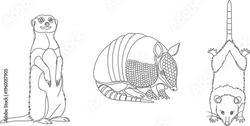 Simple black and white line art illustration featuring three distinct wild animals including a meerkat, an armadillo, and a possum