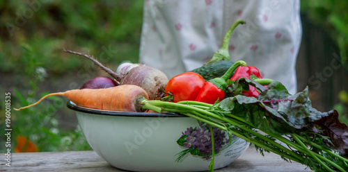 Little girl with a bowl of fresh organic vegetables in the garden. Harvest time.