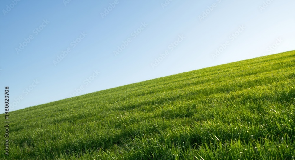 Obraz premium idyllic hillside with fresh green grass glistening under a clear sky