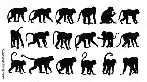 A group of monkey silhouettes in various poses