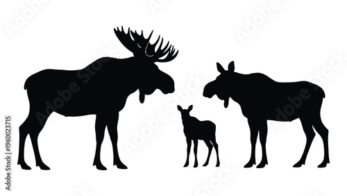 A moose and two calves standing together