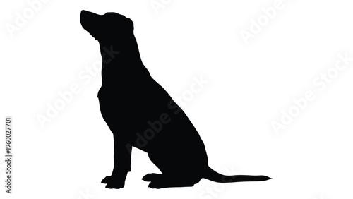 A black silhouette of a sitting dog