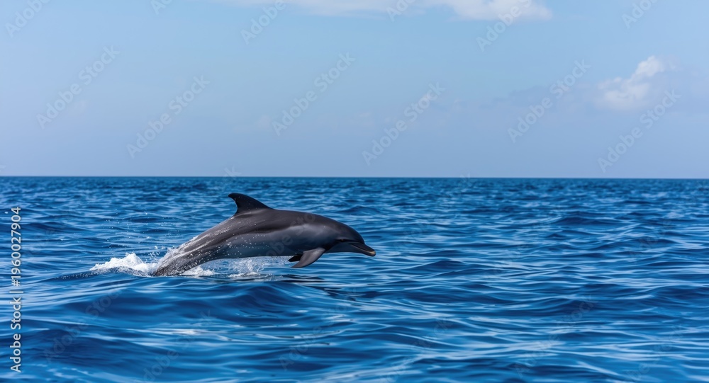 Fototapeta premium Playful dolphin soaring joyfully over calm sapphire sea with clear sky above