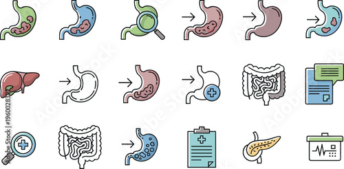 Digestive system line icons vector set featuring stomach liver intestines diagnosis treatment and medical healthcare symbols in minimal outline design