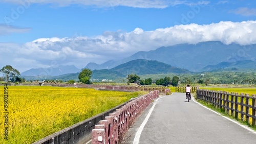 Valokuva Solo cyclist riding through golden rice fields on a winding road with misty mountains in Chishang, Taiwan