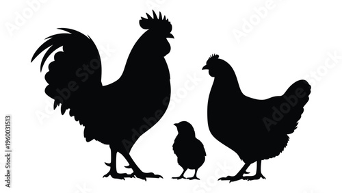 Silhouette of a rooster hen and chick standing together