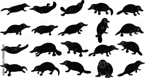 Platypus silhouette set with Australian semi aquatic mammals swimming and walking cad drawing flat vector illustration flavector for nature decor (20 words)
