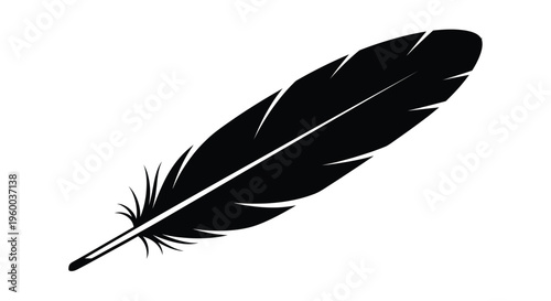A single black feather isolated on a plain white background