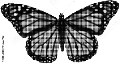 Butterfly Monarch : A striking monochromatic depiction of a monarch butterfly, showcasing its intricate patterns. It's a testament to the beauty of nature.