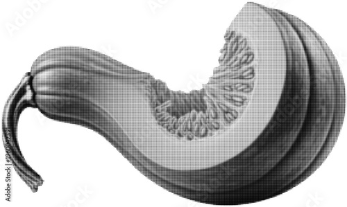 Butternut Squash Sectioned Still Life: A detailed monochrome study of a sectioned butternut squash, revealing its textured skin, internal seeds, and the inviting curve of the fruit