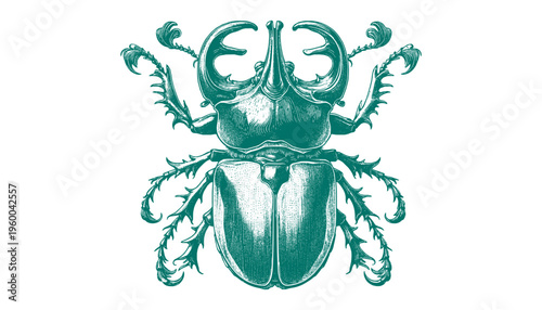 Atlas Beetle