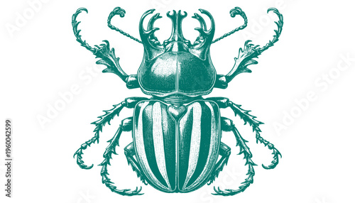 Atlas Beetle