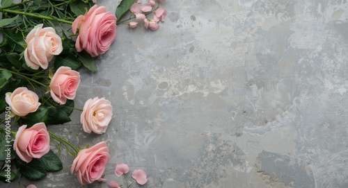 Pink English roses and ranunculus floral greeting card on concrete table with lentisk leaves for wedding and birthday
