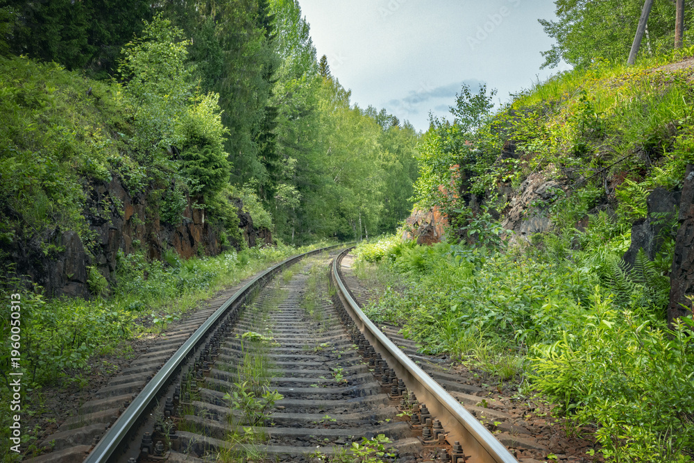 Fototapeta premium Railway tracks in the forest, vacation trip by train,