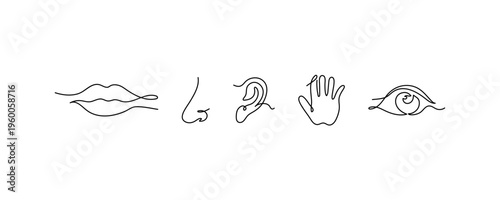 Human Senses Icons Set Lips Nose Ear Hand Eye Illustration