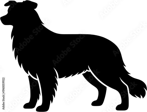 Border Collie dog silhouette, side profile black vector icon