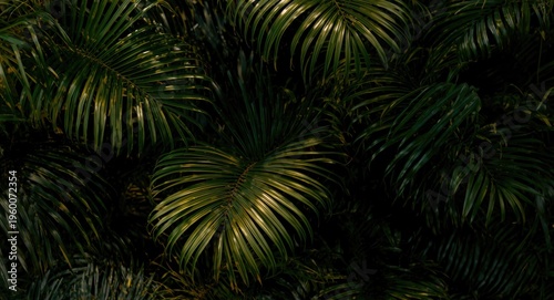 lush tropical foliage with shimmering golden highlights