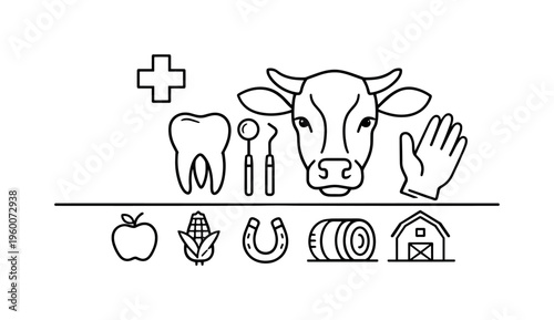 Veterinary dental care and teeth maintenance for livestock feeding efficiency and overall health management in farm animals, animal tooth, dental tool, cow head, glove, and medical