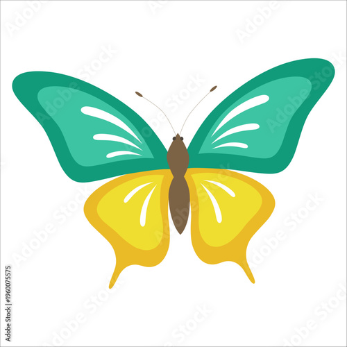 Bright butterfly vector illustration colorful insect with green, turquoise and yellow wings