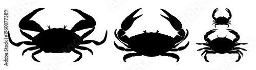 Crab silhouette set with one-color stylized outline on paper featuring crustacean, marine, tide with nature and wildlife