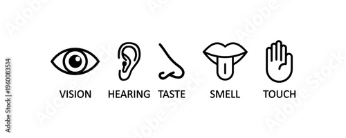 Human Senses Icons Set Vision Hearing Taste Smell Touch