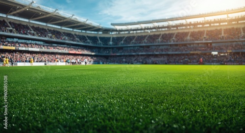 Full length view of green grass sports field with cheering fans in stands for soccer and baseball with copy space