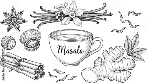 Masala tea hand drawn illustration. Vintage sketch cup with spices vanilla cinnamon ginger and herbs. Botanical chai design for packaging café menu and organic branding.