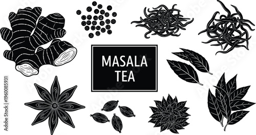 Masala tea ingredients vector set. Hand drawn spices herbs and roots for traditional chai. Black and white botanical illustrations for packaging menu and organic design.