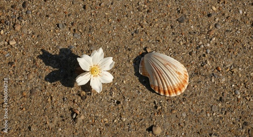 Natural sunlight casting sh...