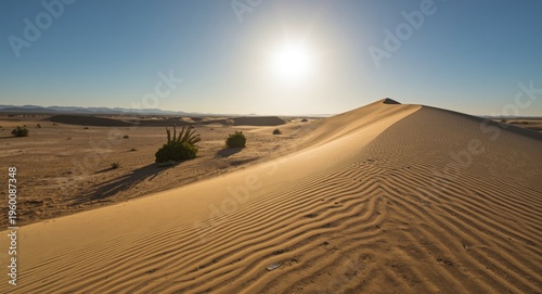 Hot and dry open space with...