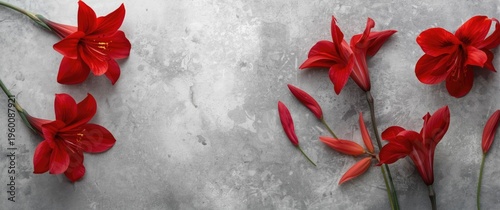 Energetic red alstroemeria ...