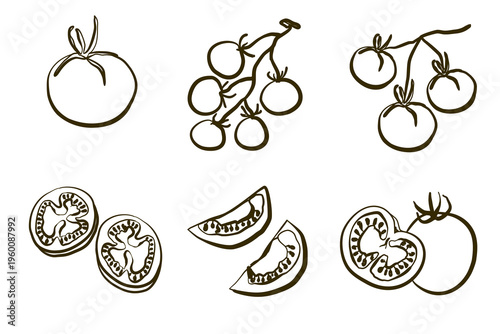 Set of outline tomato icons. Cherry tomatoes on a vine, sliced in doodle sketch style.