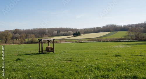 Peaceful rural clearing fea...