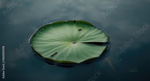 Extreme close up of a green...