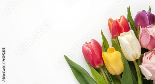 Closeup of colorful spring ...
