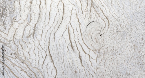 Detailed view of white wood...