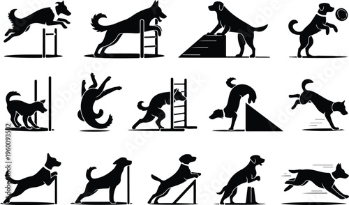 Dog Training Silhouette Icon Collection Set