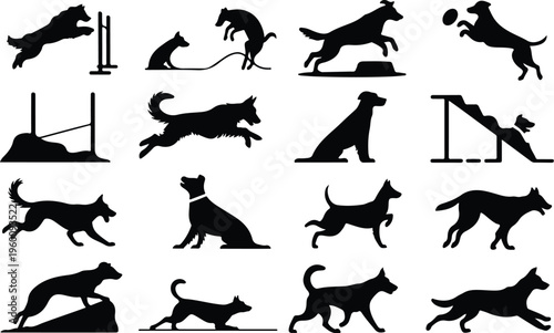 Dog Training Silhouette Icon Collection Set