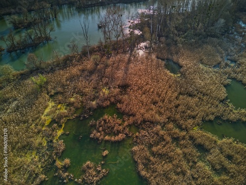 Aerial view of vibrant wetlands marsh in Dunajske luhy, Slovakia. Sunny texture of reeds and green water channels in the Danube floodplain.