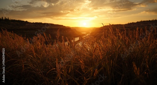 Quiet quarry site with tall...