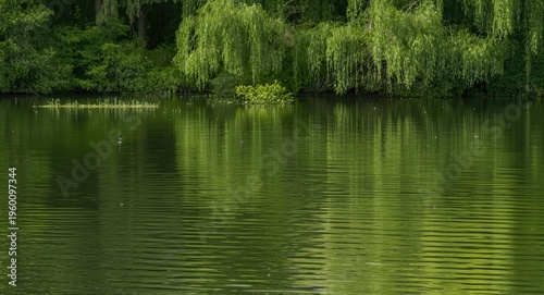 Calm lake reflecting flouri...