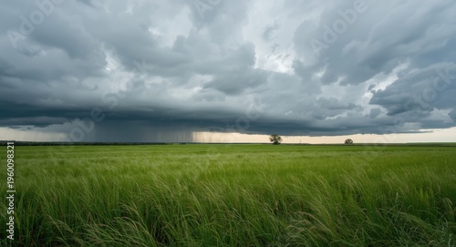 Expansive grassy landscape ...