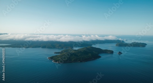 Elevated image of vibrant i...