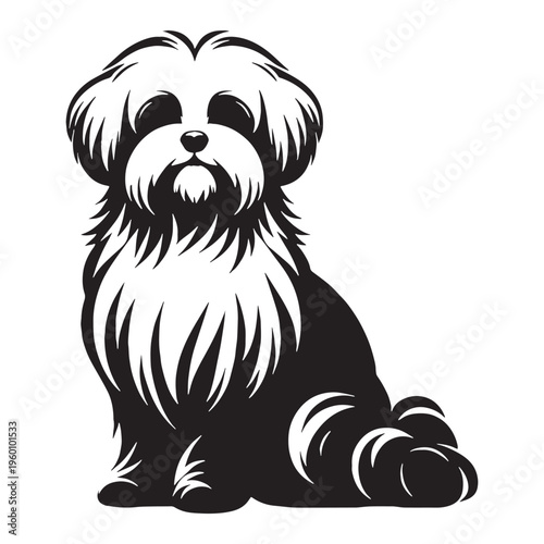 Maltese Dog Cute Fluffy White Puppy Small Toy Breed Elegant Companion Pet Playful Loving Friendly Indoor Dog Groomed Hair Adorable Face Family Pet Sweet Temperament Luxury Breed.