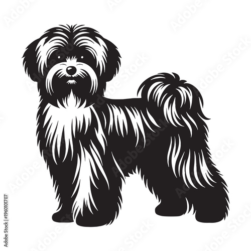 Maltese Dog Cute Fluffy White Puppy Small Toy Breed Elegant Companion Pet Playful Loving Friendly Indoor Dog Groomed Hair Adorable Face Family Pet Sweet Temperament Luxury Breed.